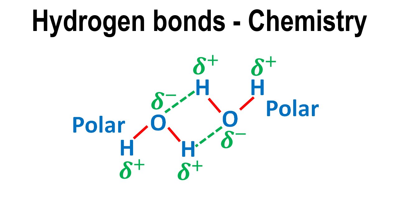 Hydrogen Bonds Dipole Dipole Forces Intermolecular Chemistry