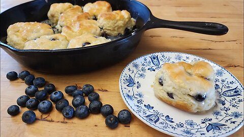 Blueberry Biscuits - So Good You'll Lick Your Fingers and Smack Your Lips - The Hillbilly Kitchen