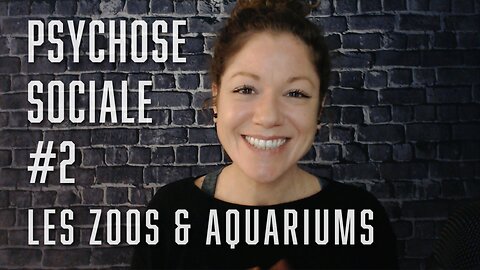 Psychose sociale #2: Les zoos & aquariums