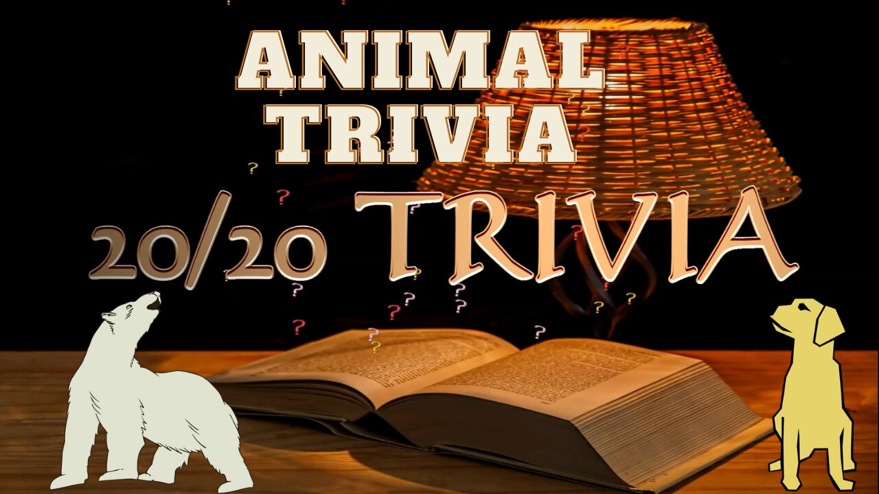 20-20-trivia-animal-edition-so-20-animal-trivia-quiz-questions-with-20