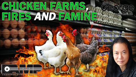 Chicken Farms, Fires and Famine | About GEORGE With Gene Ho Ep. 70