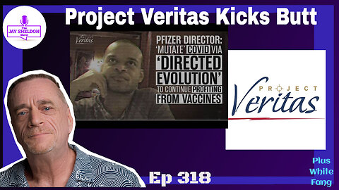 Project Veritas Kicks Butt