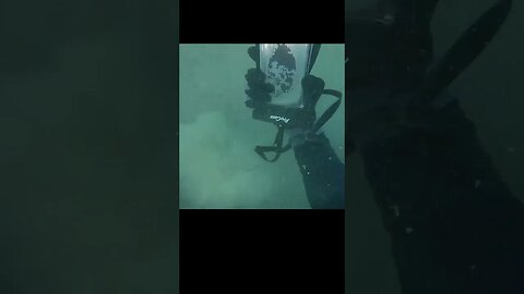 Diver scores BRAND NEW Iphone in Dry Bag