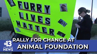 Advocates rally for change at Animal Foundation