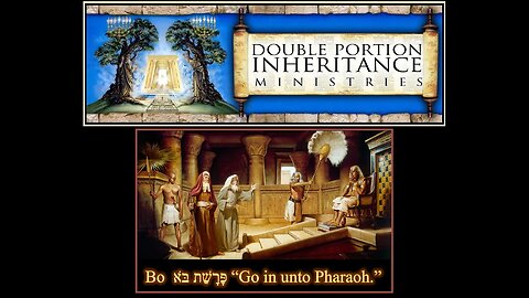 Torah Portion: Bo פָּרָשַׁת בֹּא “Go in unto Pharaoh.”