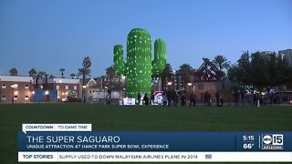 Super Saguaro at Hance Park Super Bowl Experience