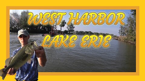 West Harbor Lake Erie Bass Fishing Video