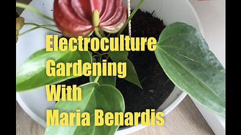 Electroculture Gardening (How to boost crop growth) with Maria Benardis