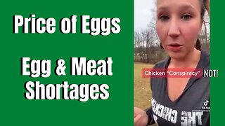 Why Egg Prices Are So High | Not A Conspiracy!