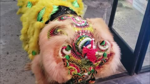 Tradition Lion Dance: Happy Lunar New Year - 恭喜發財