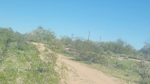 LIVE- Desert Hike Near Scottsdale Arizona