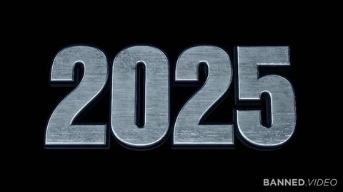 What Happened in 2025? - A Governmental Report