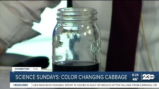 Science Sunday: Color changing cabbage