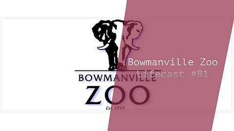 The Bowmanville Zoo | Lifecast #81