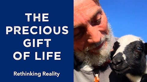 Rethinking Reality: The Precious Gift Of Life | Dr. Robert Cassar