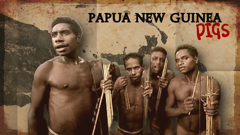 Papua New Guinea Pigs