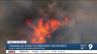 Stage 2 Federal and State wildfire restrictions in Southern Arizona