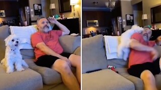Puppy goes all out trying to get owner's attention