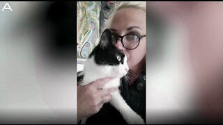 Feline The Love: Woman Circumvents Landlords ‘No Pets’ Rule By Marrying Her Cat