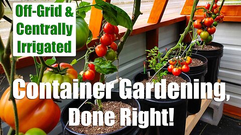 Container Gardening, Done Right | Off Grid Centrally Irrigated GroBuckets