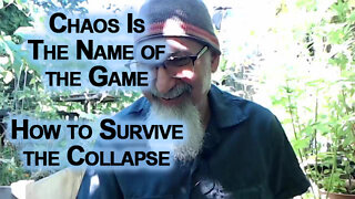 Chaos Is The Name of the Game: How to Survive the Collapse, Decouple Yourself from Centralized Power