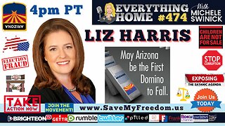 #77 ARIZONA CORRUPTION EXPOSED: REP. LIZ HARRIS - Arizona Will Be The First Domino To Fall WITH YOUR HELP + Grassroots vs GOP Rino Establishment - Decision vs Division & AZ UPDATES
