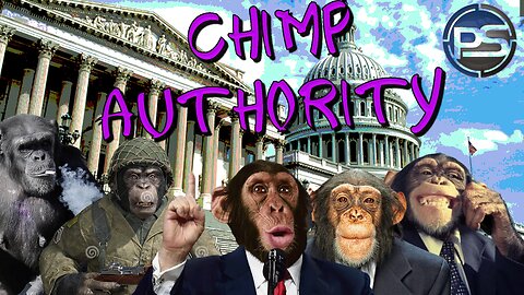 CHIMP AUTHORITY: The USA Is Run By A Bunch Of Chimpanzees