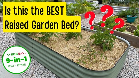 Raised Bed Gardening - Vegega 9-in-1 🤔 Is it sturdy? Is it deep enough? Will it work in my garden?
