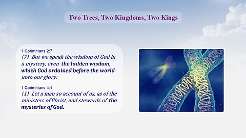 Two Trees, Two Kingdoms, Two Kings - Levels of Interpretation part 6