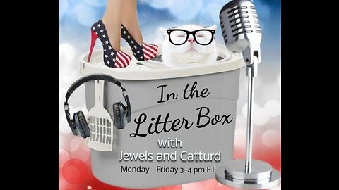 THANK YOU VETERANS - In the Litter Box w/ Jewels & Catturd 11/11/2022 - Ep. 209