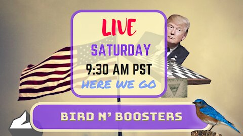 Saturday *LIVE* Birds n' Boosters! Edition