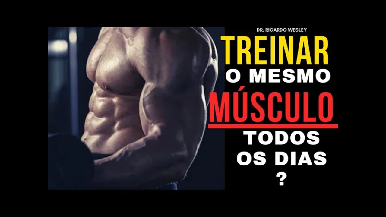 Hipertrofia Treinar Todos Os Dias O Mesmo M Sculo Treinar O Mesmo Grupo Muscular Todos Os Dias