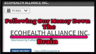 Following Our Money Down The ECOHEALTH ALLIANCE Drain