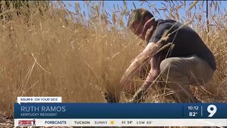 San Ysidro Festival: Bringing back wheat farming traditions from Sonoran fields to Tucson