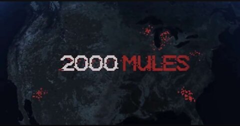 2000 Mules