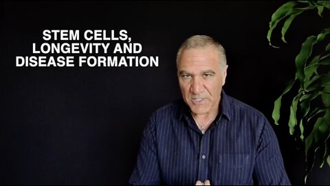 Stem Cells (& Their Role in Disease Formation)