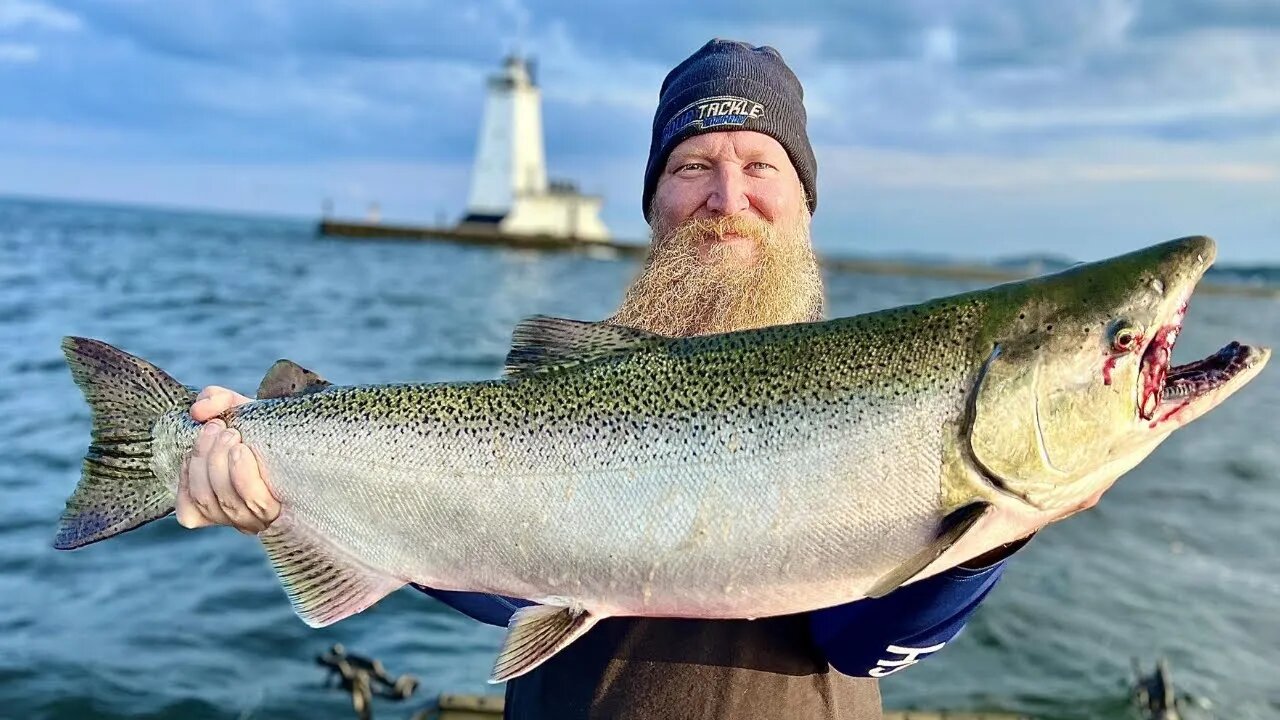 3 Must Have Setups For Spring Lake Michigan Coho Salmon 