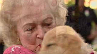 Betty White fans donating to animal shelters to honor her 100th birthday