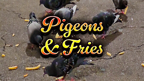 Pigeons and French Fries in Manhattan at Midnight