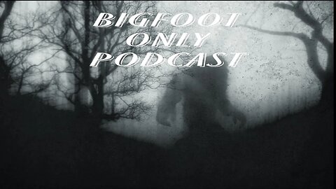 What paranormal activity are you actively investigating? Are you researching Bigfoot?