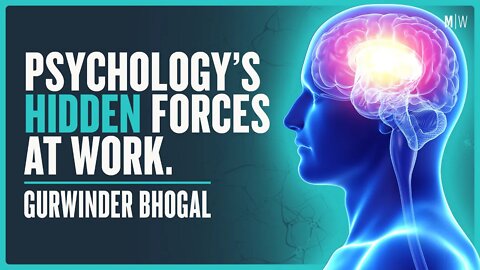 14 Concepts To Understand Human Nature - Gurwinder Bhogal | Modern Wisdom Podcast 486