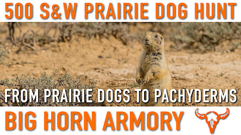 500 S&W Prairie Dog Hunt – Big Horn Armory