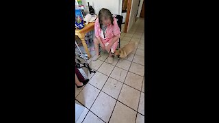 Dog Ecstatic After Owner Returns Home From The Hospital
