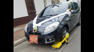 Polémica por cepos a carro nupcial en Bucaramanga