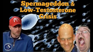 Vincent James || Spermageddon & The Low-Testosterone Crisis