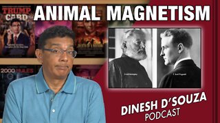 ANIMAL MAGNETISM Dinesh D’Souza Podcast Ep388