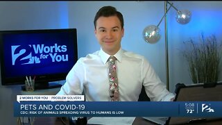 Problem Solvers Coronavirus Hotline: Pets and COVID-19