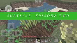 Lagged House Building! | Minecraft Survival - Episode 2