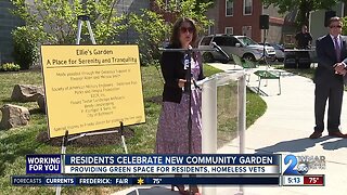 Community garden opens in Sandtown-Winchester