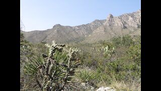 Guadalupe National Park, Tig Two